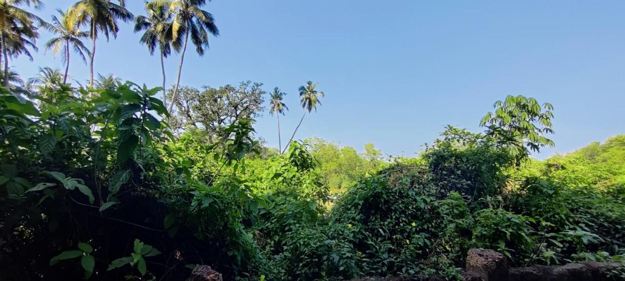 J-House, Spacious Apartments With Balconies, Thalassa 1Min Away Siolim Extérieur photo